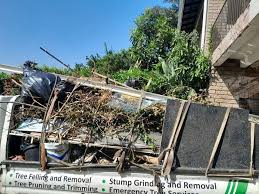 Best Carpet Removal and Disposal  in Stamford, TX